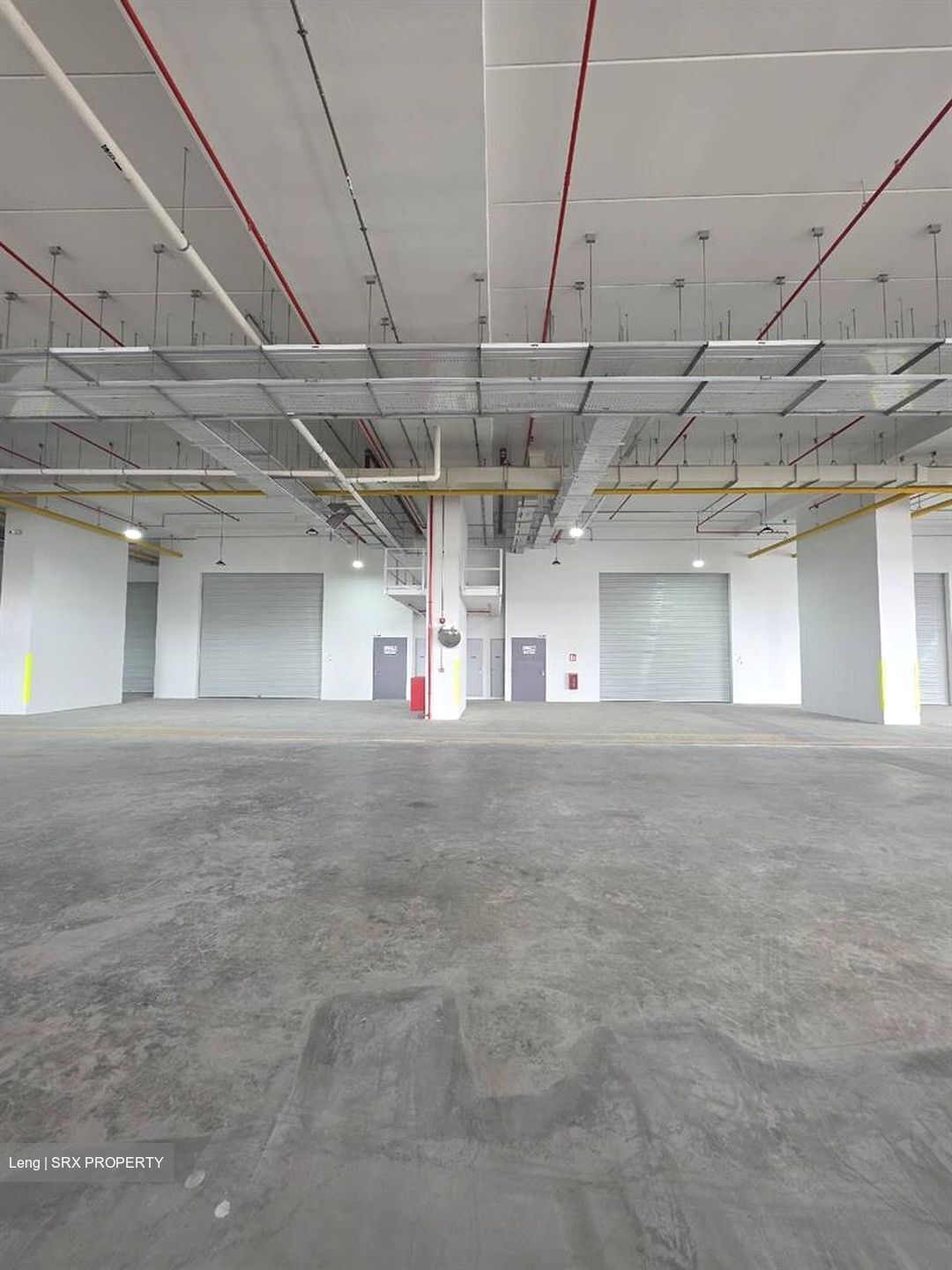 Ct Foodnex (D25), Factory #487060561